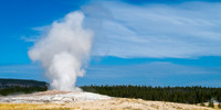 Old Faithful (2024)
