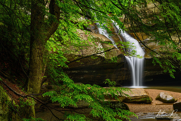 Cedar Falls (2024)