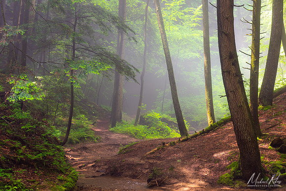 Hocking Hils Mist (2022)