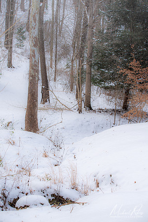 Winter Dreams (2024)