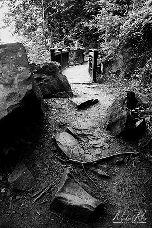 Fort Boreman Trail (2024)