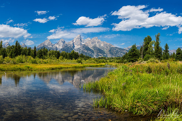 Grand Tetons from Schwabacher Landing (2024)