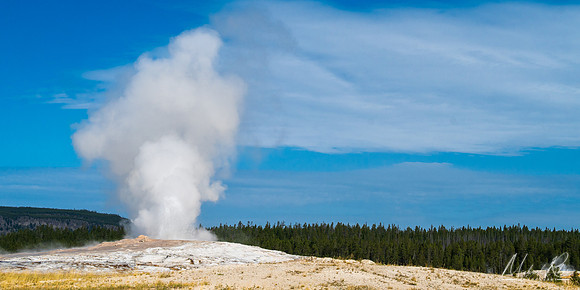 Old Faithful (2024)
