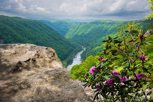 New River Gorge in Spring (2023)