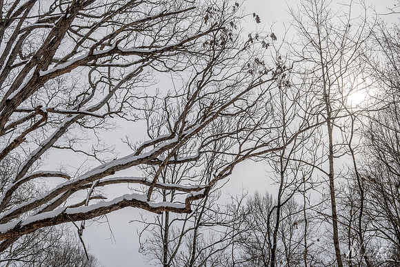 Winter Sky (2025)